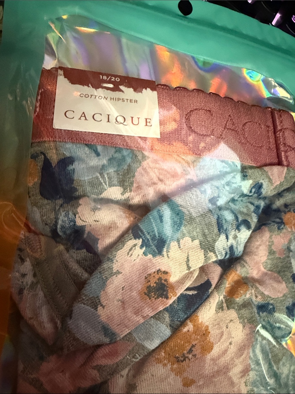 Lane Bryant cacique cotton hipster panty 18/20 w\tag
